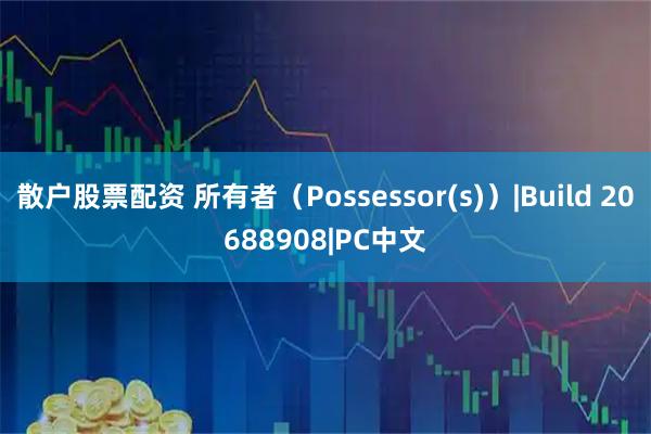 散户股票配资 所有者（Possessor(s)）|Build 20688908|PC中文