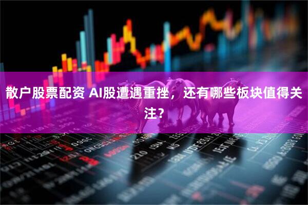 散户股票配资 AI股遭遇重挫，还有哪些板块值得关注？