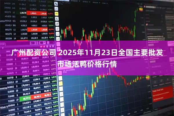 广州配资公司 2025年11月23日全国主要批发市场活鸭价格行情
