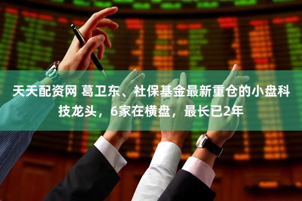 天天配资网 葛卫东、社保基金最新重仓的小盘科技龙头，6家在横盘，最长已2年